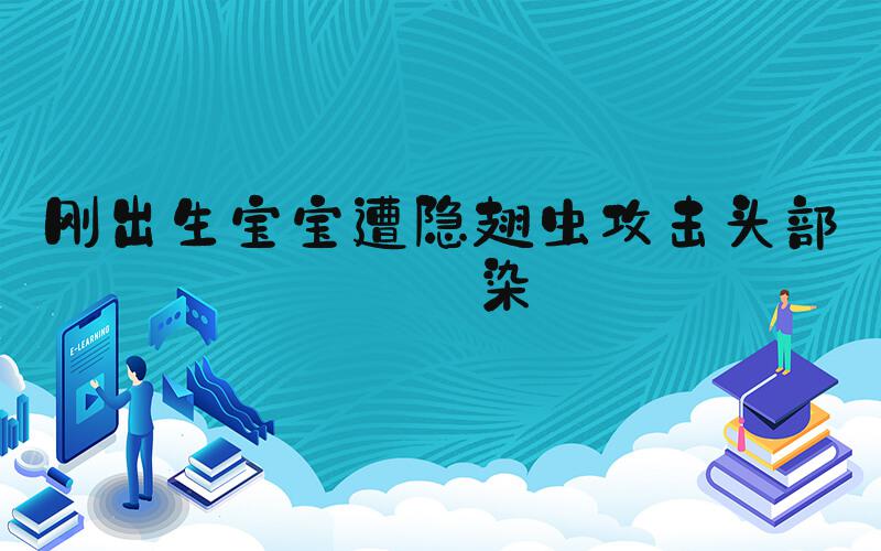 刚出生宝宝遭隐翅虫攻击头部感染