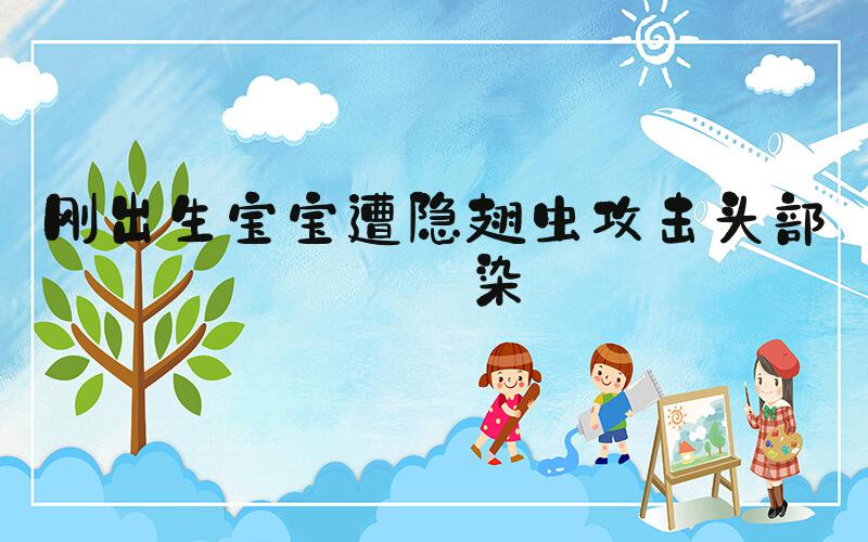 刚出生宝宝遭隐翅虫攻击头部感染