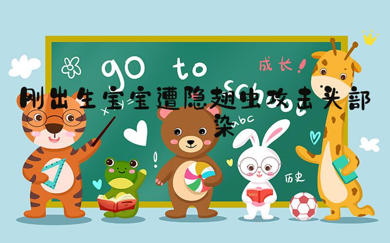 刚出生宝宝遭隐翅虫攻击头部感染
