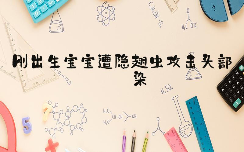 刚出生宝宝遭隐翅虫攻击头部感染