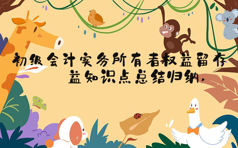 初级会计实务所有者权益留存收益知识点总结归纳 