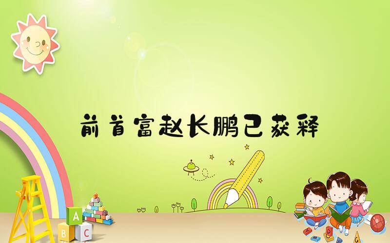 前首富赵长鹏已获释