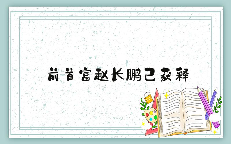 前首富赵长鹏已获释