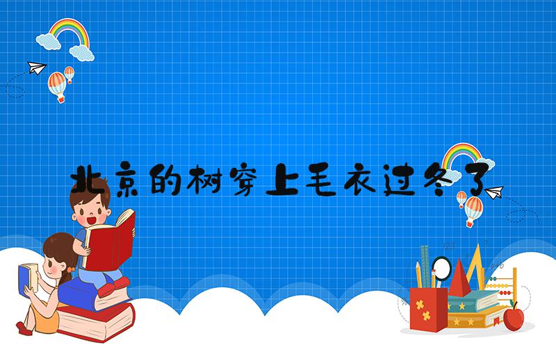 北京的树穿上毛衣过冬了