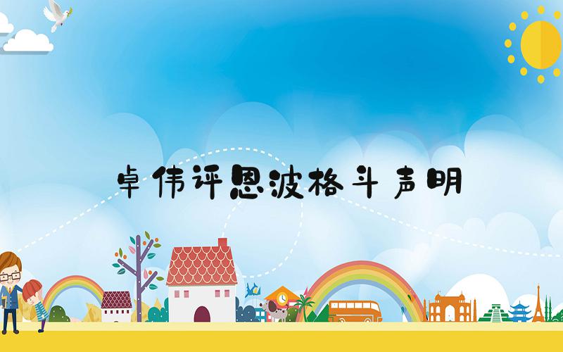 卓伟评恩波格斗声明