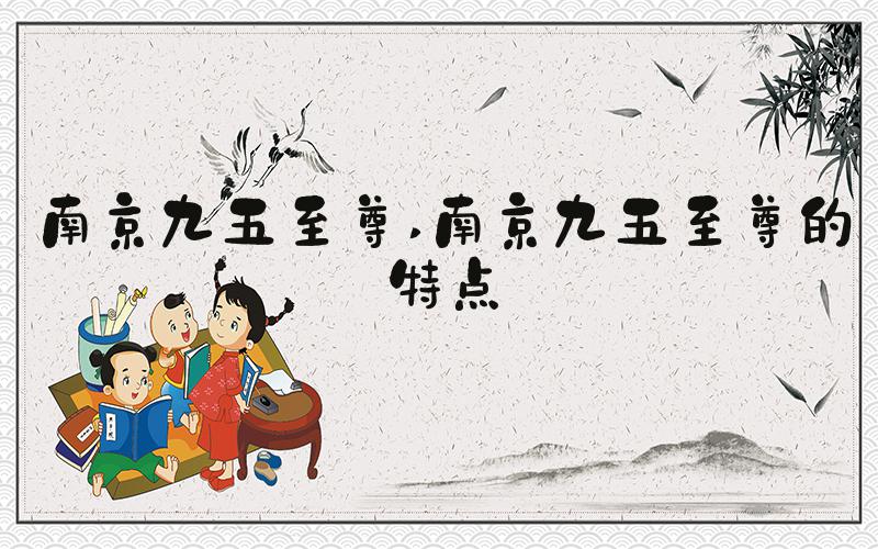 南京九五至尊 南京九五至尊的特点