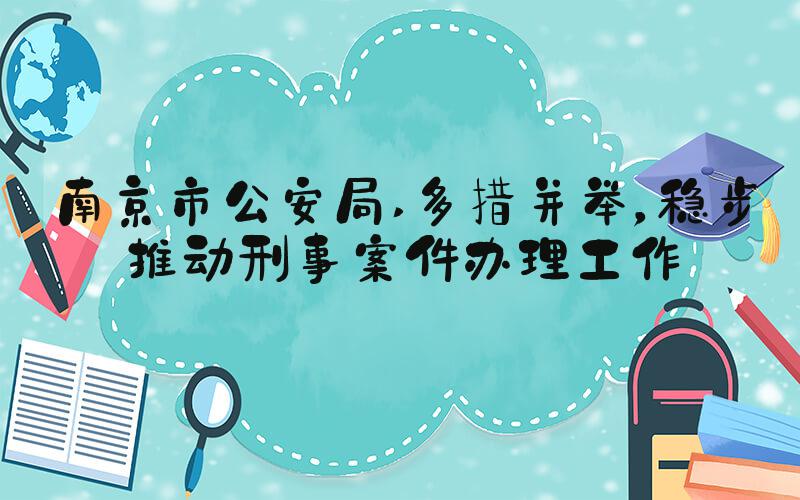 南京市公安局 多措并举，稳步推动刑事案件办理工作