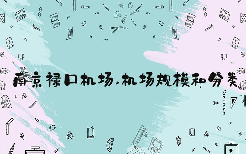 南京禄口机场 机场规模和分类