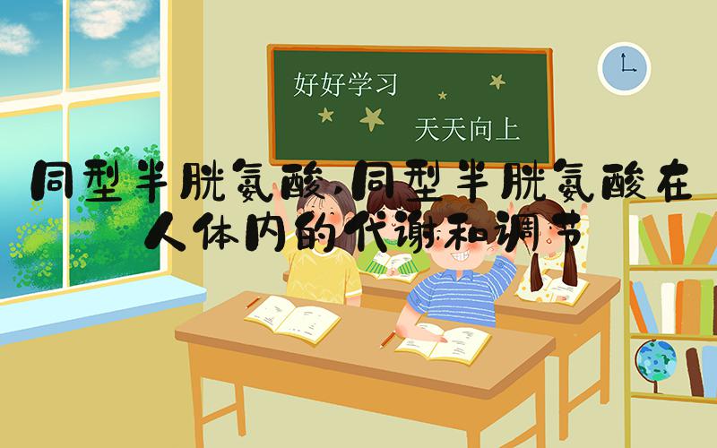 同型半胱氨酸 同型半胱氨酸在人体内的代谢和调节