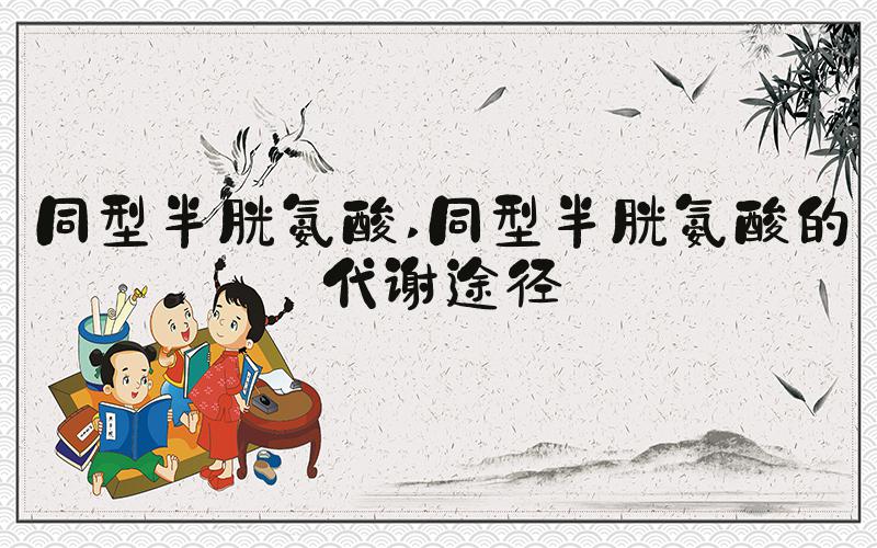 同型半胱氨酸 同型半胱氨酸的代谢途径
