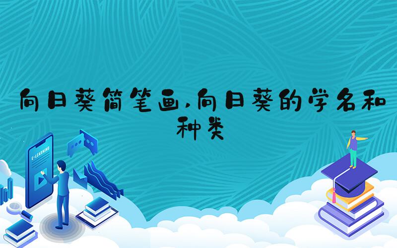 向日葵简笔画 向日葵的学名和种类