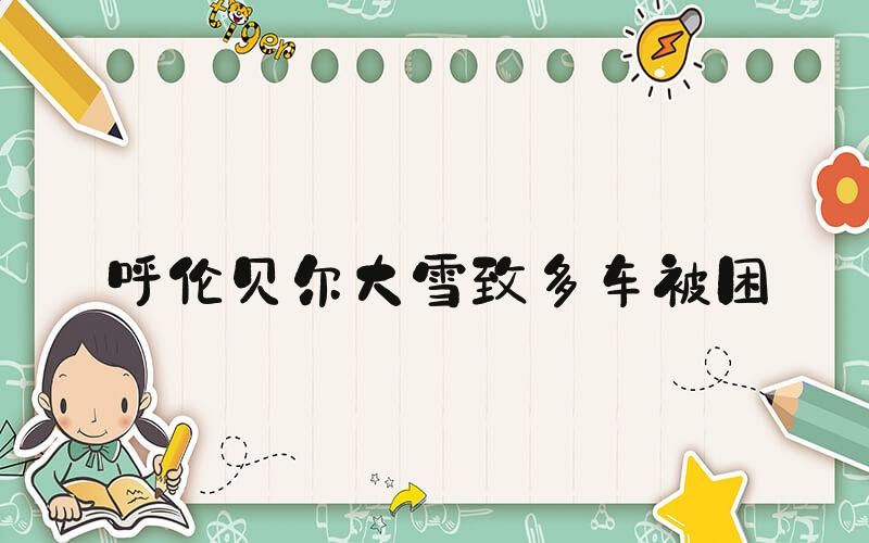 呼伦贝尔大雪致多车被困