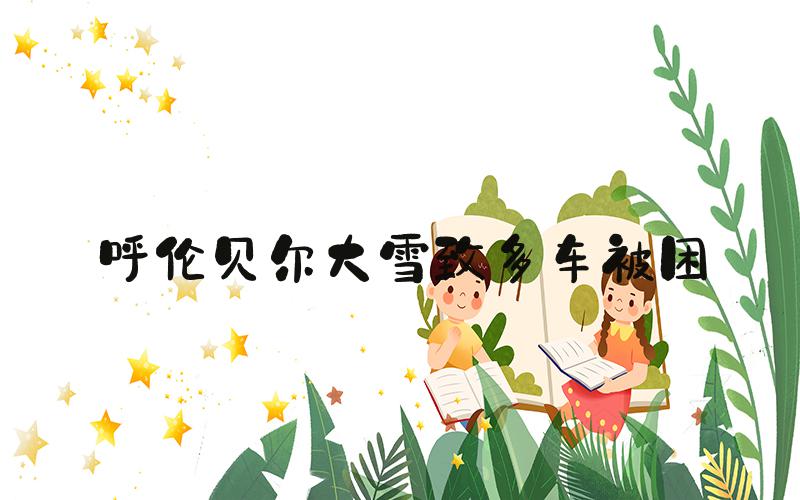 呼伦贝尔大雪致多车被困