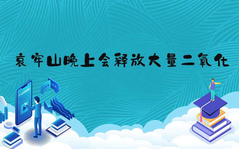 哀牢山晚上会释放大量二氧化碳