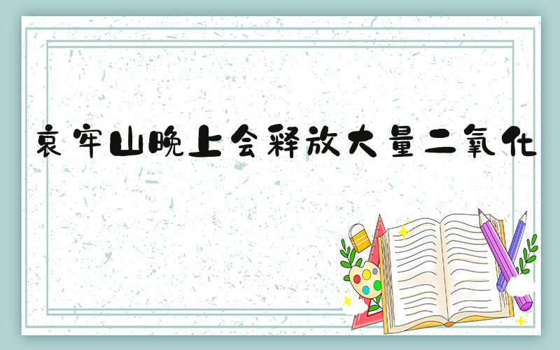 哀牢山晚上会释放大量二氧化碳