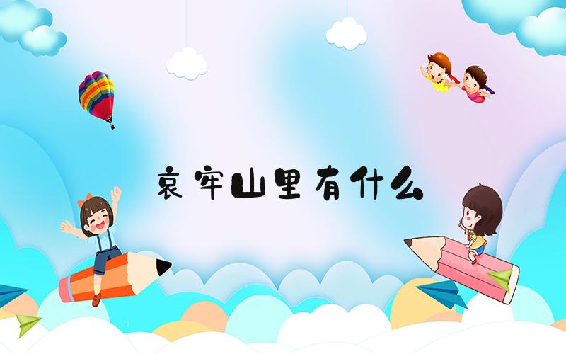 哀牢山里有什么