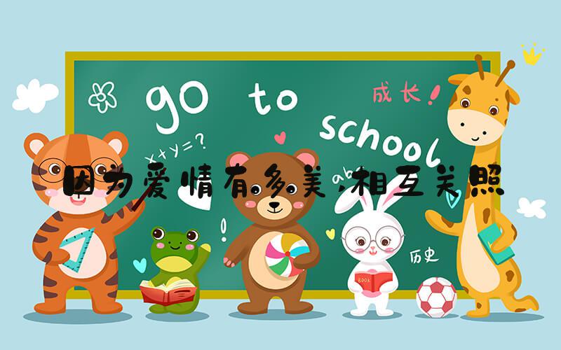 因为爱情有多美 相互关照