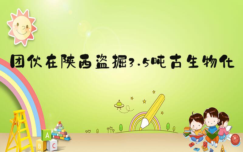 团伙在陕西盗掘3.5吨古生物化石