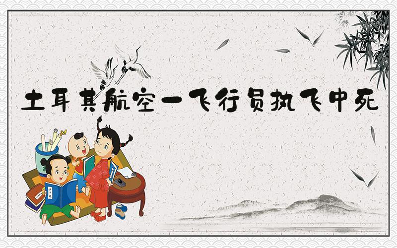 土耳其航空一飞行员执飞中死亡