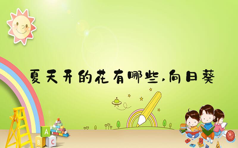 夏天开的花有哪些 向日葵