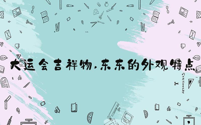 大运会吉祥物 东东的外观特点