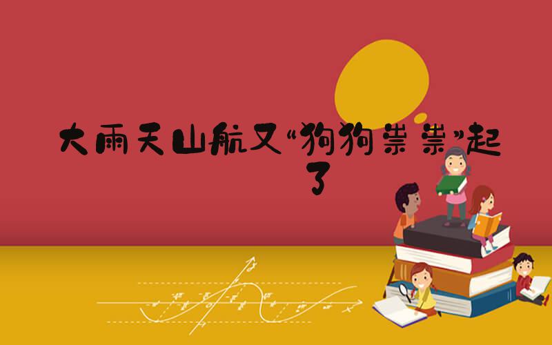大雨天山航又“狗狗祟祟”起飞了