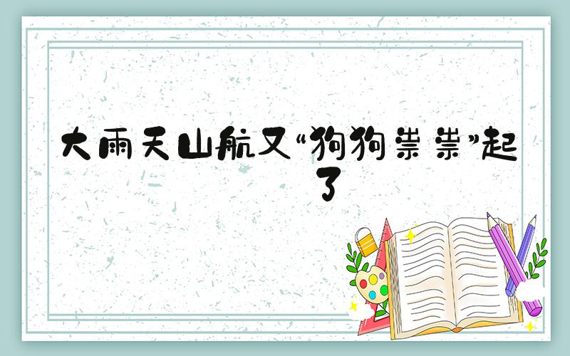 大雨天山航又“狗狗祟祟”起飞了