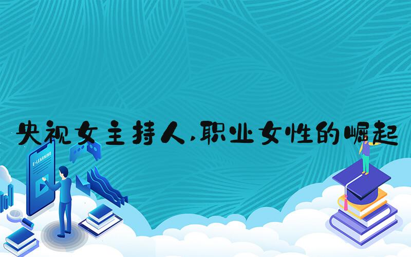 央视女主持人 职业女性的崛起
