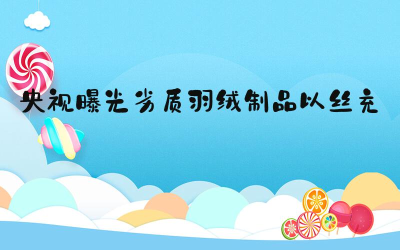 央视曝光劣质羽绒制品以丝充绒