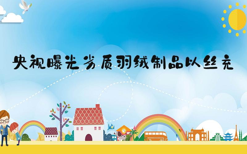 央视曝光劣质羽绒制品以丝充绒