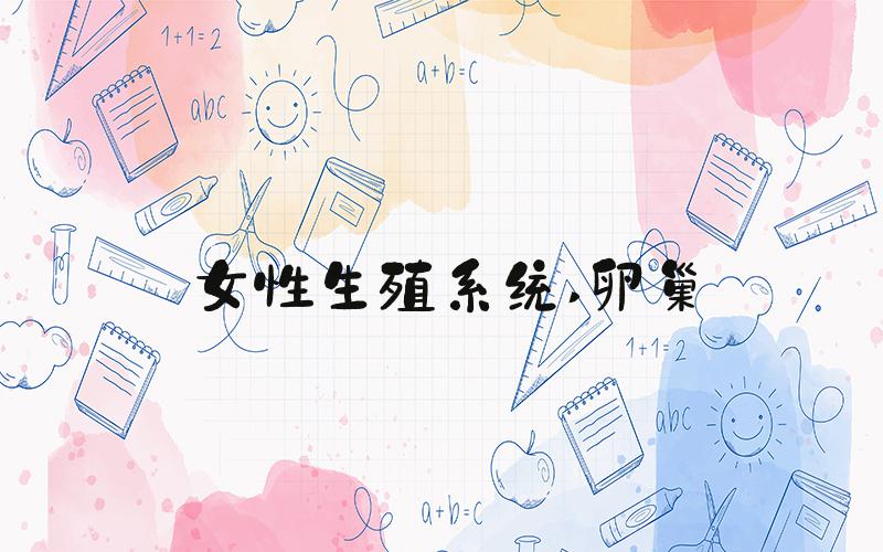 女性生殖系统 卵巢