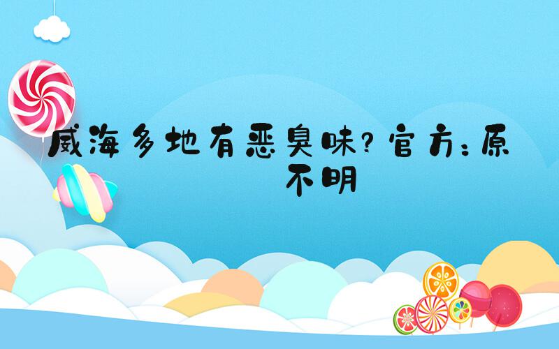 威海多地有恶臭味？官方：原因不明