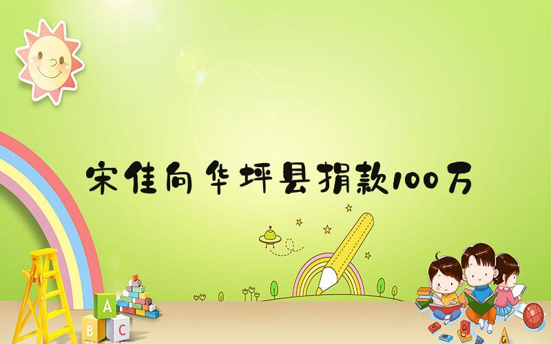 宋佳向华坪县捐款100万