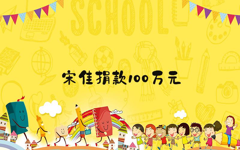 宋佳捐款100万元