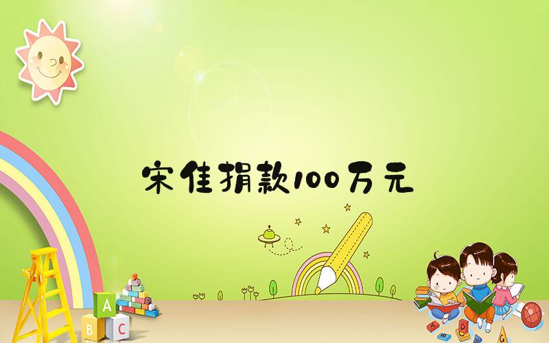 宋佳捐款100万元