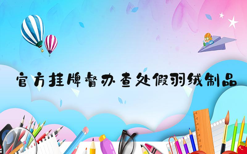 官方挂牌督办查处假羽绒制品