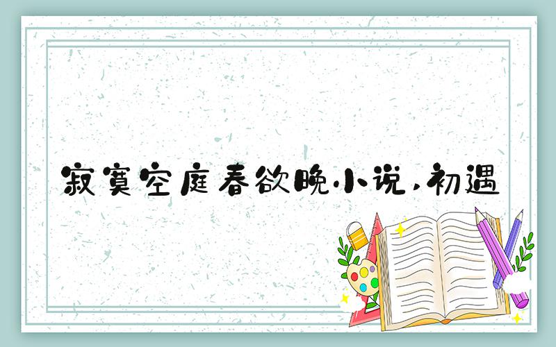 寂寞空庭春欲晚小说 初遇