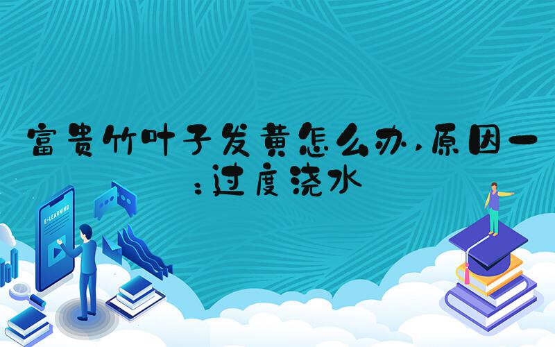 富贵竹叶子发黄怎么办 原因一：过度浇水