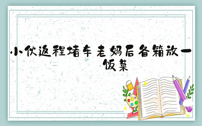 小伙返程堵车老妈后备箱放一锅饭菜
