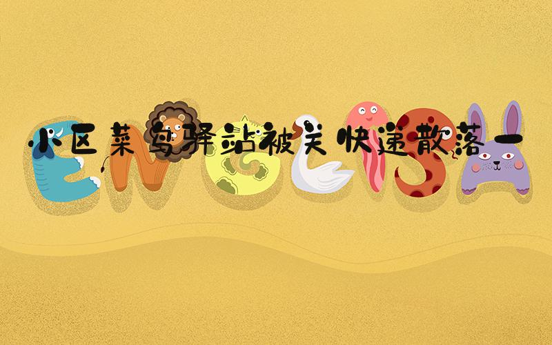 小区菜鸟驿站被关快递散落一地