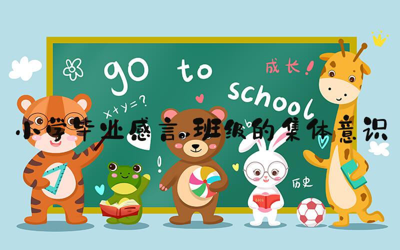 小学毕业感言 班级的集体意识