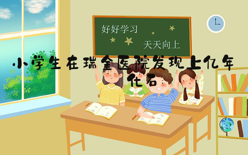 小学生在瑞金医院发现上亿年前化石