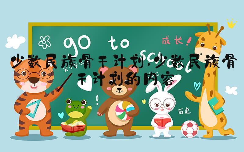 少数民族骨干计划 少数民族骨干计划的内容