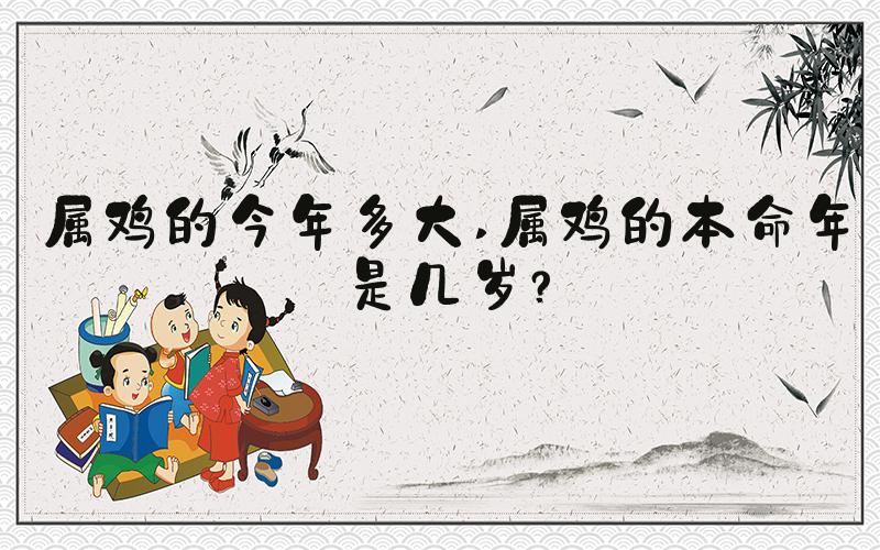 属鸡的今年多大 属鸡的本命年是几岁？