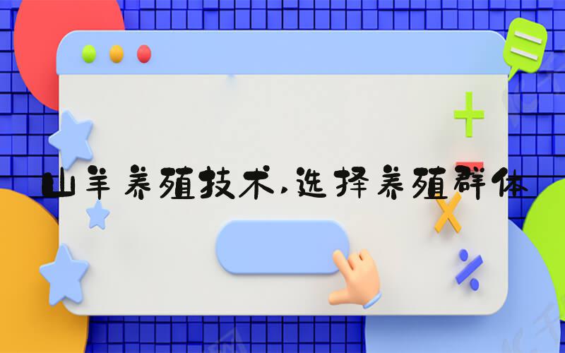 山羊养殖技术 选择养殖群体