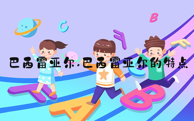 巴西雷亚尔 巴西雷亚尔的特点