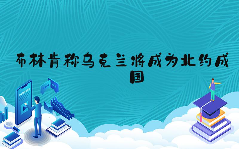 布林肯称乌克兰将成为北约成员国