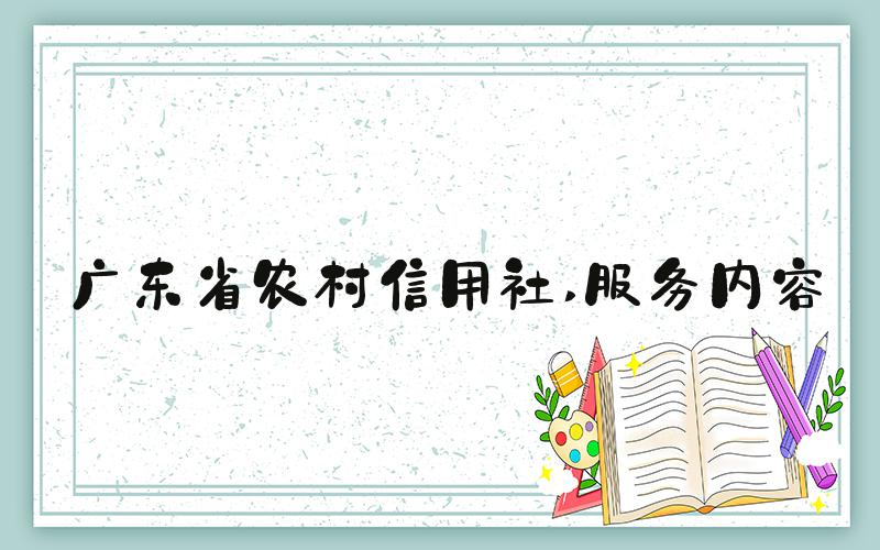 广东省农村信用社 服务内容