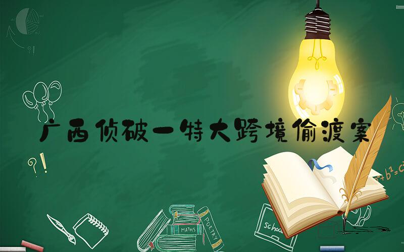 广西侦破一特大跨境偷渡案