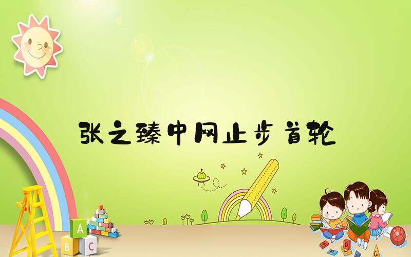 张之臻中网止步首轮